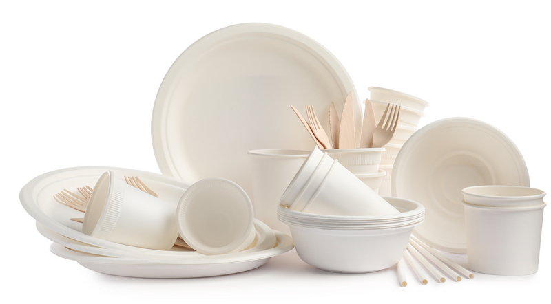 "Disposable/recyclable" plates, napkins and utensils